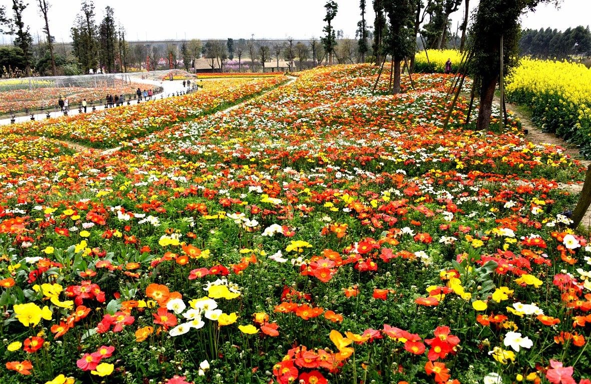 冷空气来袭！成都周边最全温泉地图，打响今秋第一泡！（内含百个免费秋游福利预告）