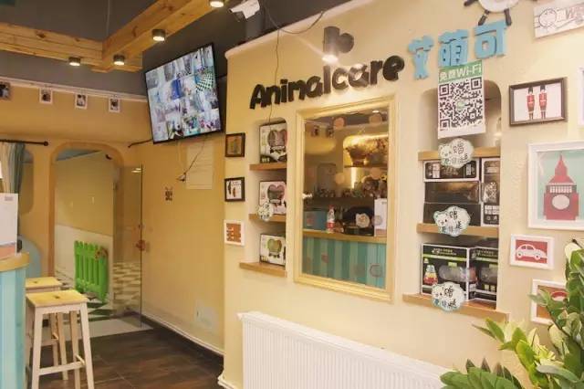 喂！住一晚160块，看次病成千上万！武汉这些狗活得太好了吧！