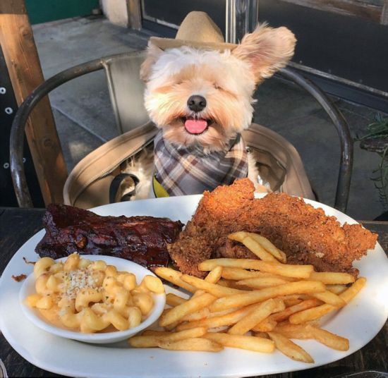 合格洗发水名单,各种品牌洗发水测试