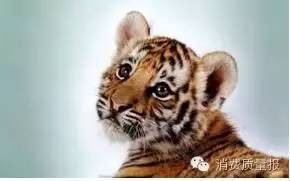 你知道你和行李经过安检时，电脑上会显示什么吗？