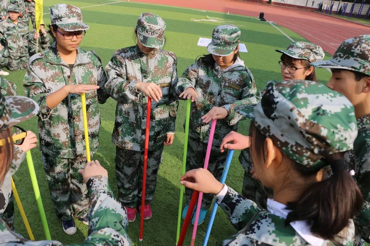 校园寻梦之旅,学校芳华十载逐梦未来