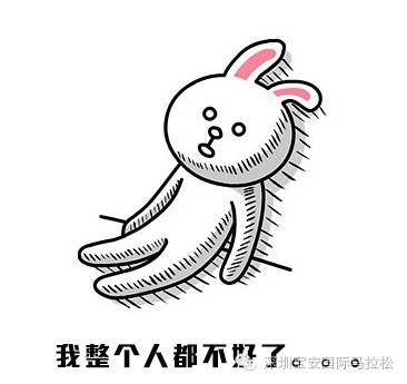 宝安马拉松起点热身,2019年宝安国际马拉松赛