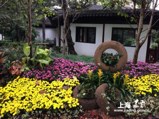 上海一周新闻快讯,上海一周要闻