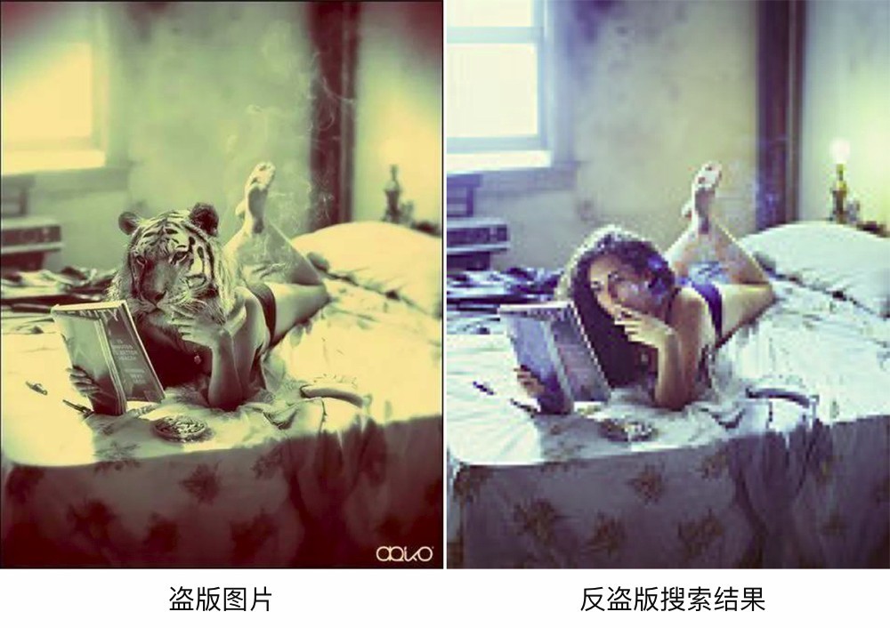 榛旇タ鍗楀窞灏嗛棬绉戞妧,灏嗛棬鎶曡祫鍏徃