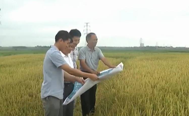 土地确权最新政策江西,江西抚州农村宅基地确权