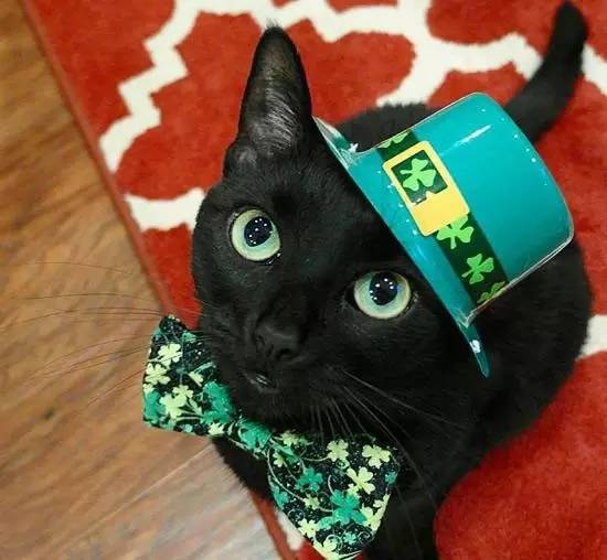 榛戝柕杩囩▼閲嶈杩樻槸缁撴灉閲嶈,榛戝柕浠ュ悗杩橀渶涓嶉渶瑕侀伩瀚屼簡