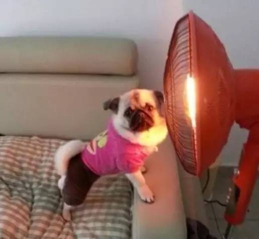 北京人暖气,今年北京暖气不热