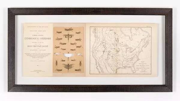 变异生物迷你世界,变异生物有哪些