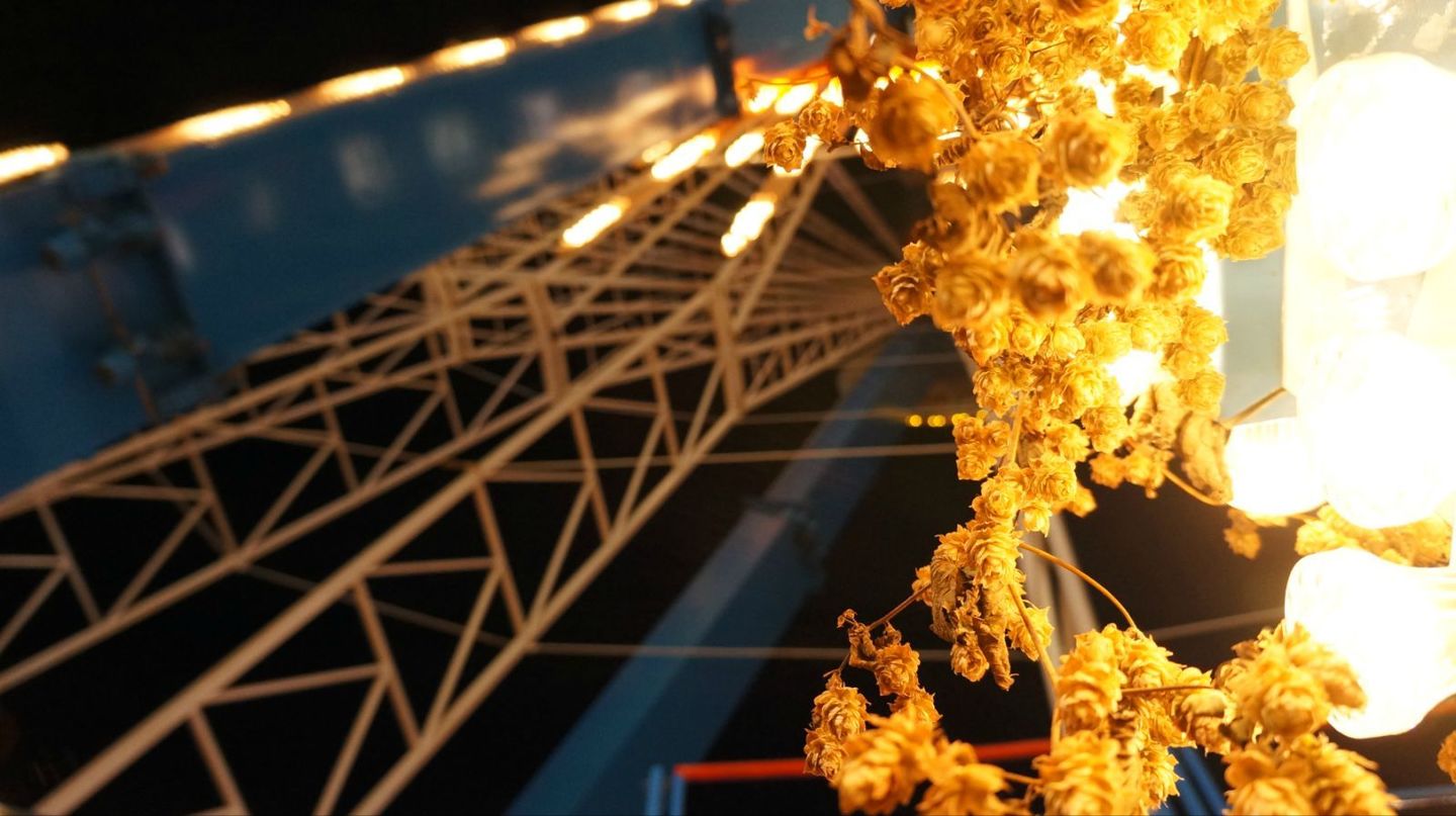 德国南部和瑞士旅游线路,德国南部自驾游