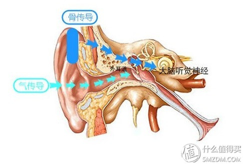 水下骨传导耳机原理,骨传导耳机到底是怎么个原理呢