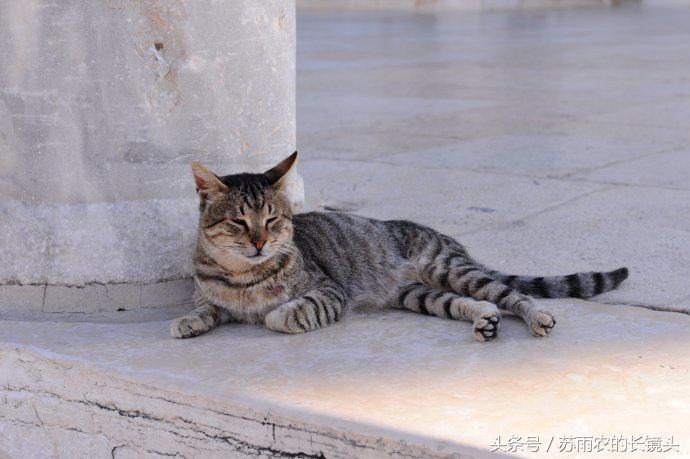 我的应许之地以色列的荣耀与悲情 (我的应许之地以色列的悲情与荣耀)