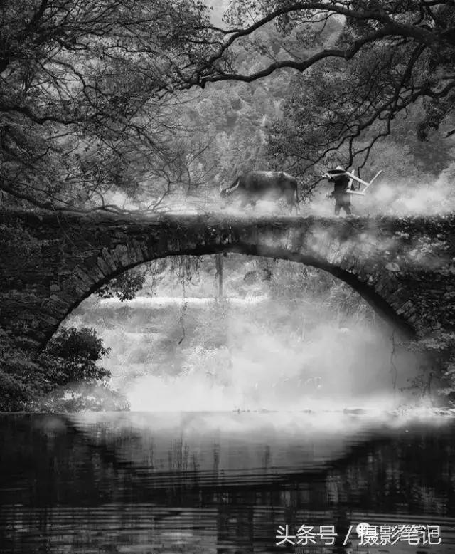 10月摄影笔记照片点评合集