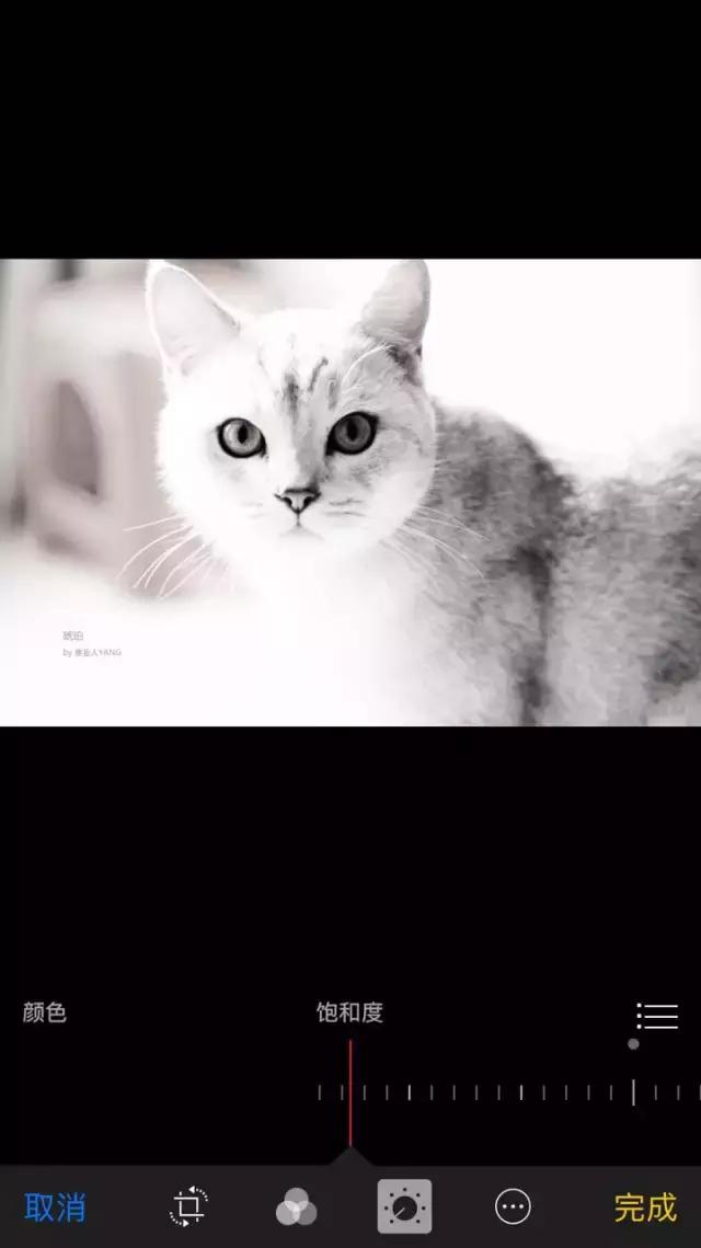 手机拍照技巧和构图方法讲解,手机拍照技巧之一基础构图技巧