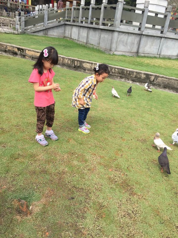 两大两小的厦门四日游