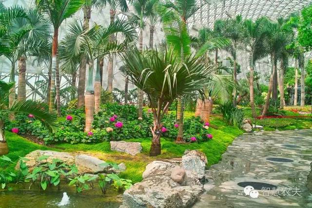 生态餐厅大棚用地,生态餐厅温室大棚配套设施