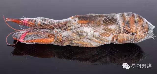 海鲜陆冻和船冻,近海海鲜与船冻海鲜区别