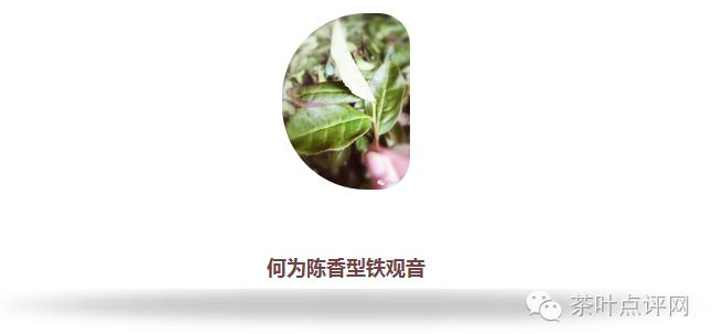 陈香型铁观音的功效口感,安溪陈年铁观音的功效与作用
