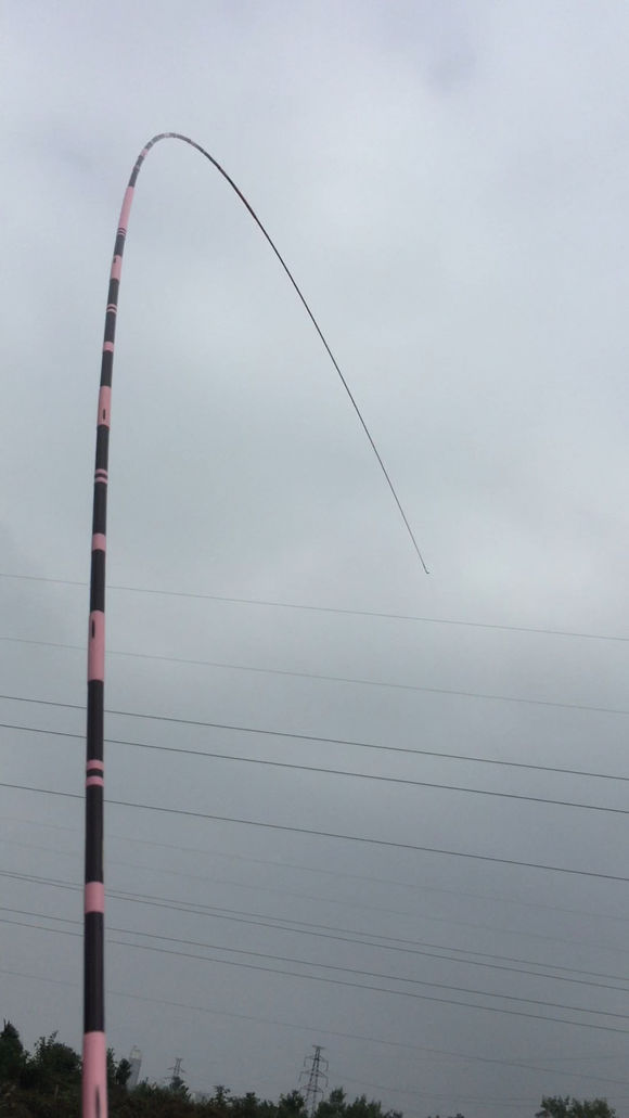 新手钓鱼，用2000的竿子，值不值？