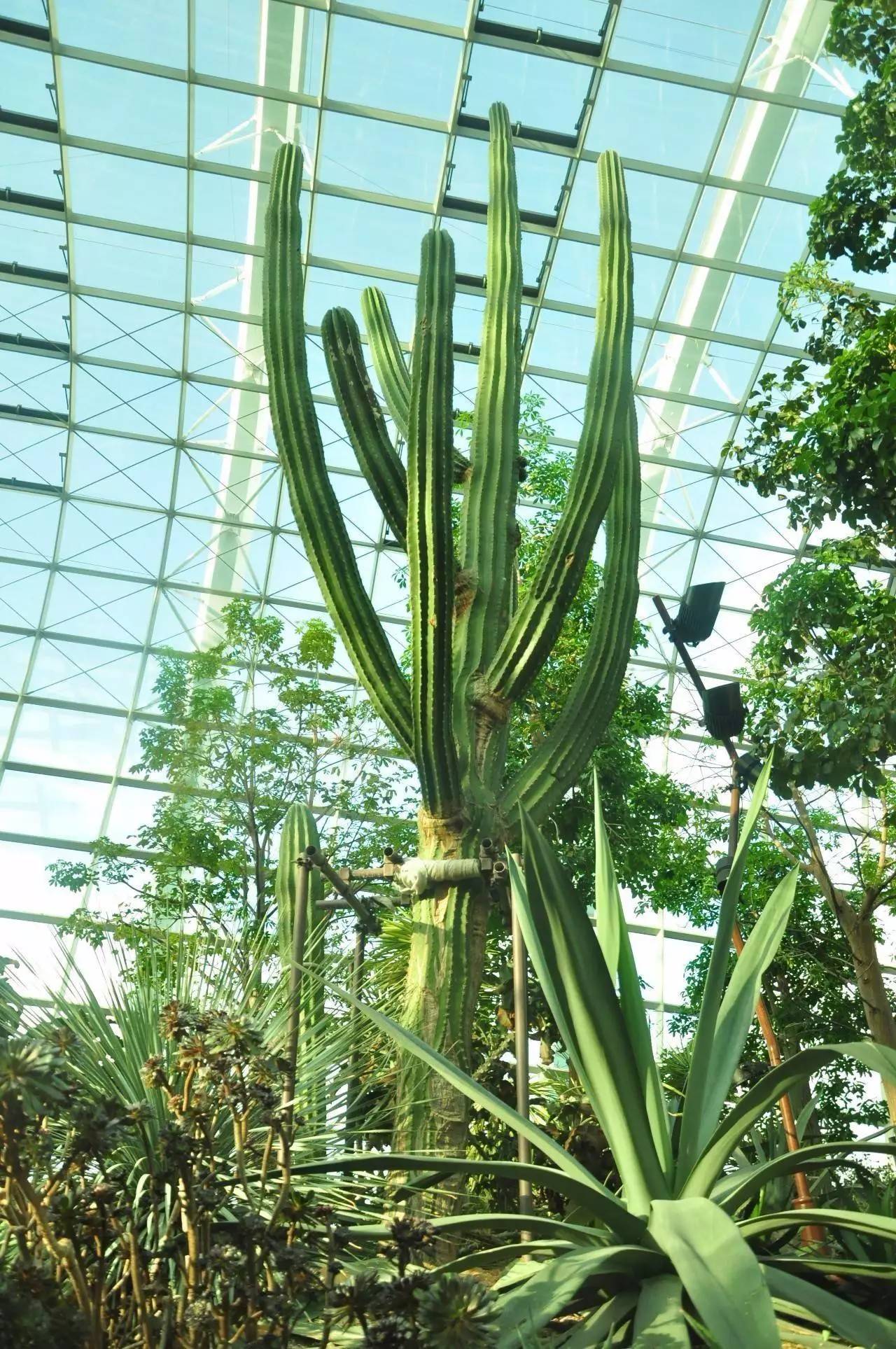马来西亚南太平洋岛屿,马来西亚赤道向北移动