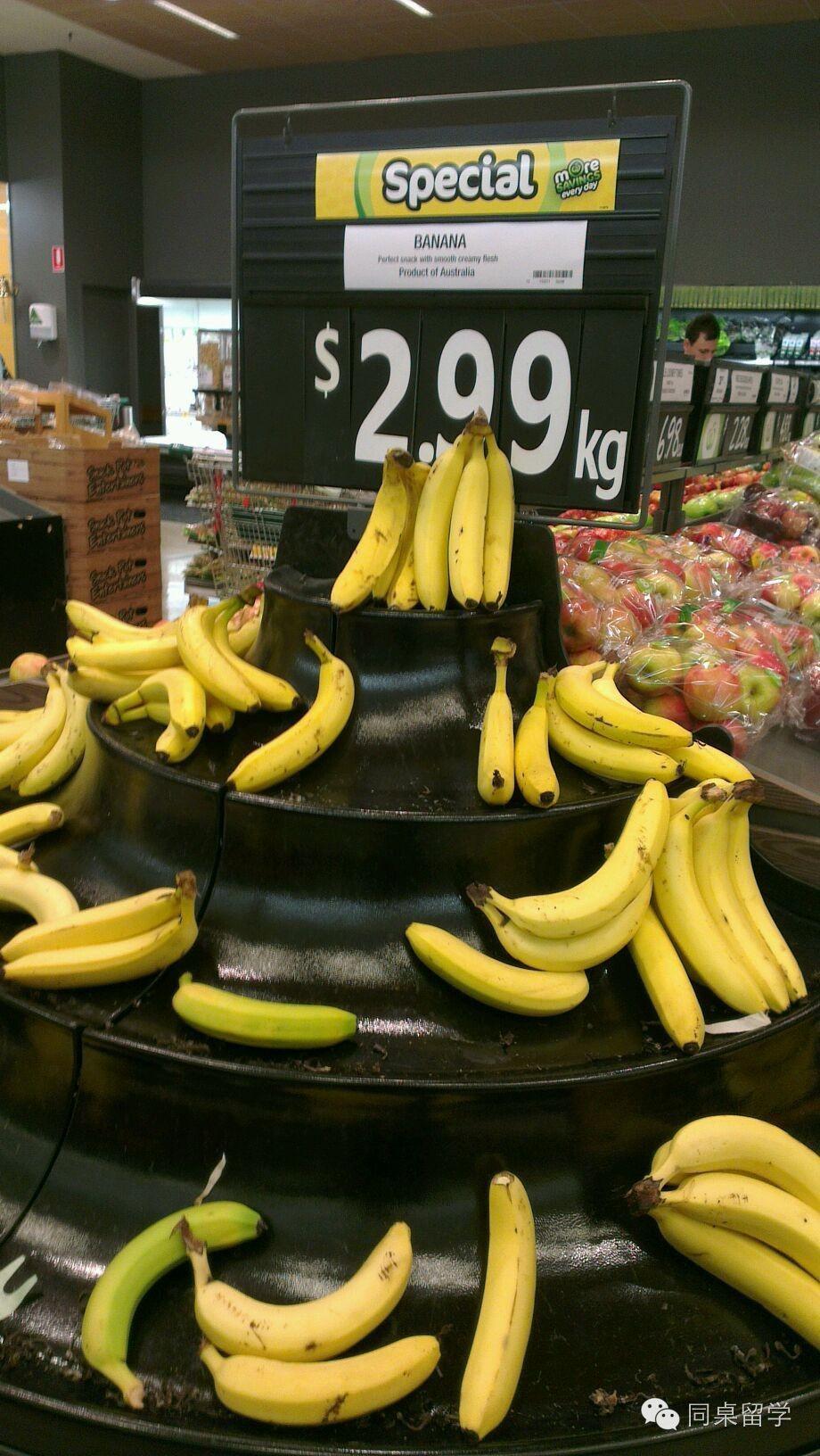 澳洲悉尼留学一年的生活费,澳洲物价高吗