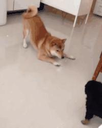 1分钟剥鸡蛋视频,1分钟快速剥鸡蛋方法