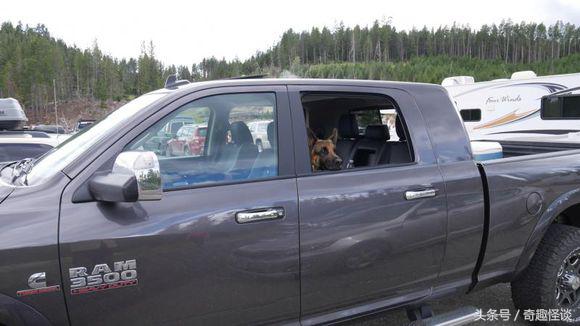 在美国旅游日常,在美国旅游攻略大全最新