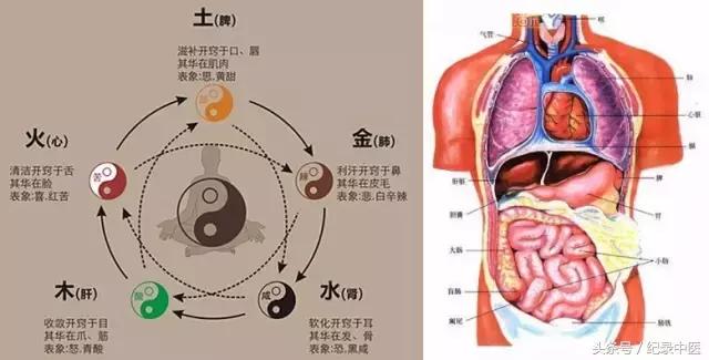 月犁文化讲习所系列讲座|关庆维:中医是生命医学