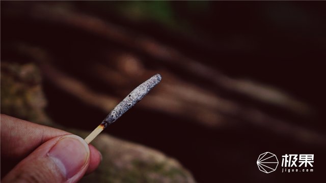 这盒子还没手掌大，里面的工具却比工具箱还全，野外保命全靠它