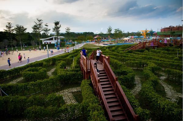 厉害了word哥,厉害了word哥视频