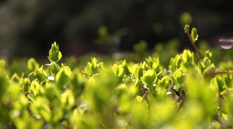 微信吸粉新套路,微信吸粉套路