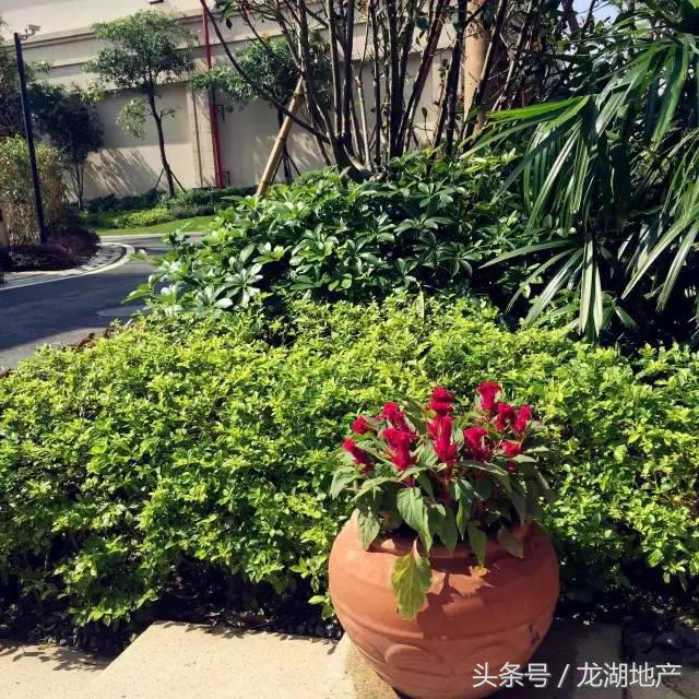 没有物管的老小区该找谁,没有物业的老小区归谁管