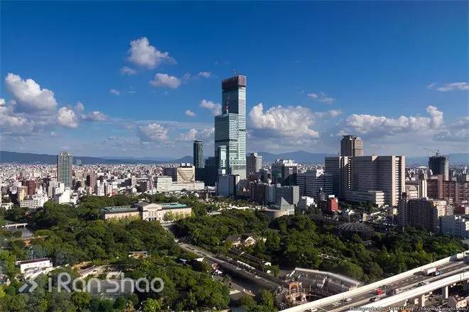 大阪半程马拉松,大阪马拉松赛况