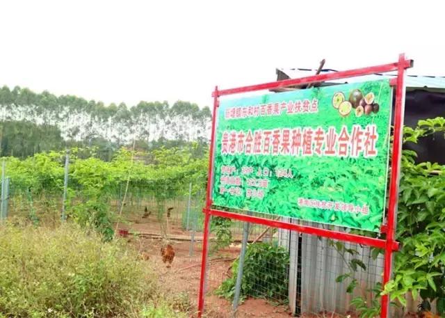 港南区哪里好玩,港南市哪里好玩