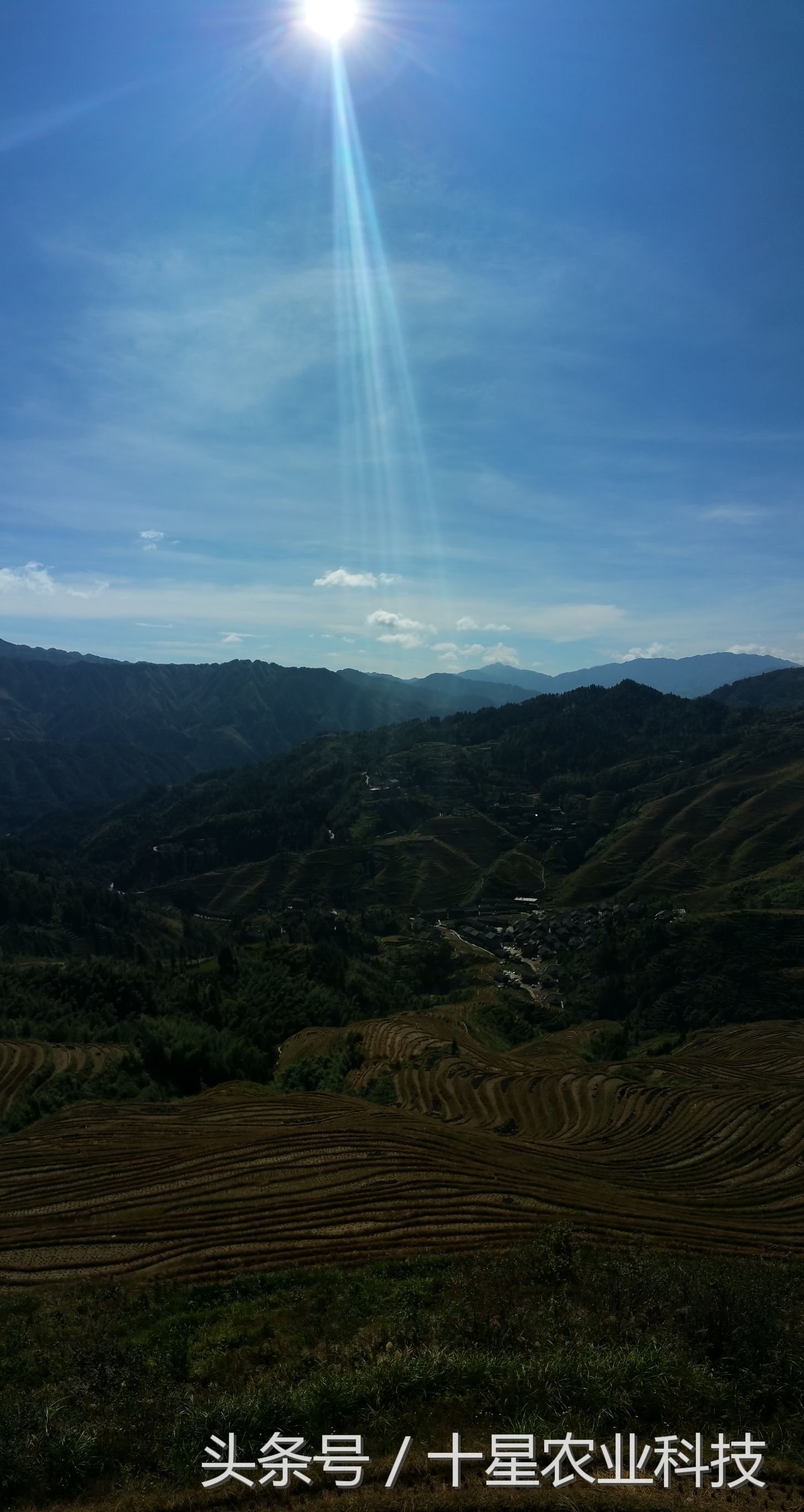 龙胜瑶族大寨龙脊梯田，原创拍摄几十图，有美女出镜哦！