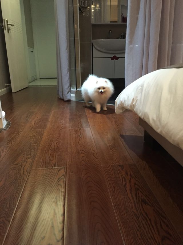 小姨子婚房装修,小姨子家装修房子