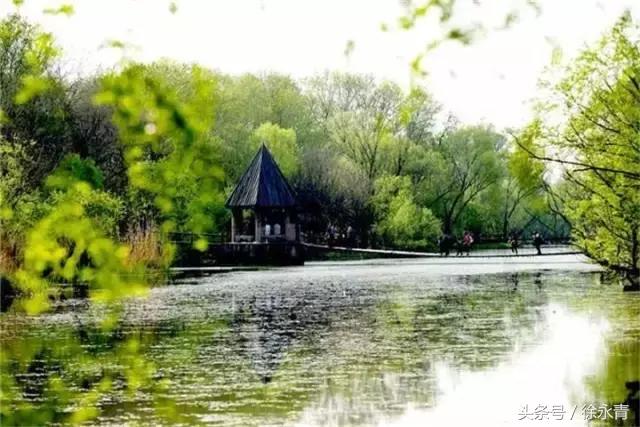 一条街一处景尽显烟火气,一条街古色古香