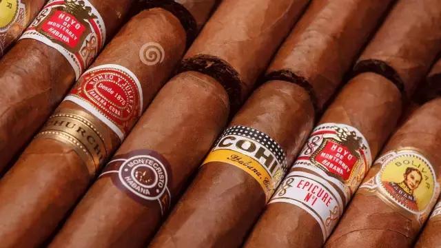 真正抽过雪茄的人，才有资格谈论库尔沃