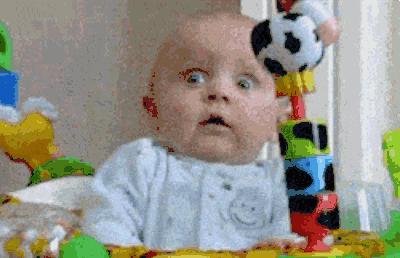 复合动物进化论,达尔文动物进化论观点