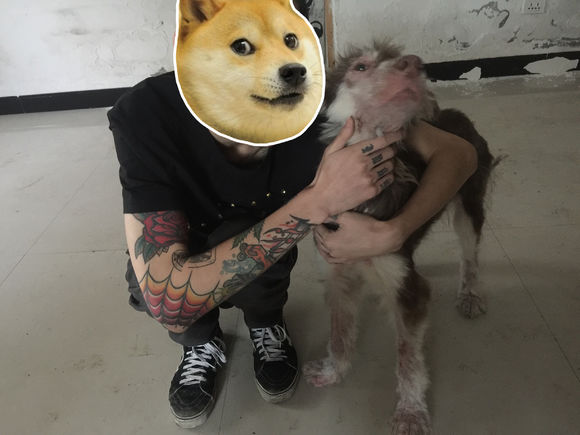 我的阿拉，即使你这辈子不长毛了，我也养你！