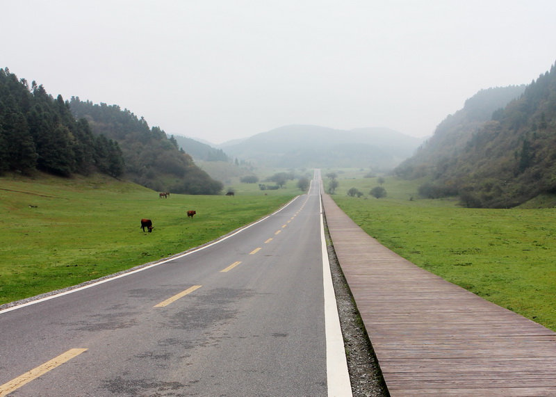 印象武隆属于什么档次,重庆旅行攻略观夜景