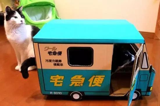 日本快递快不快,日本快递快吗