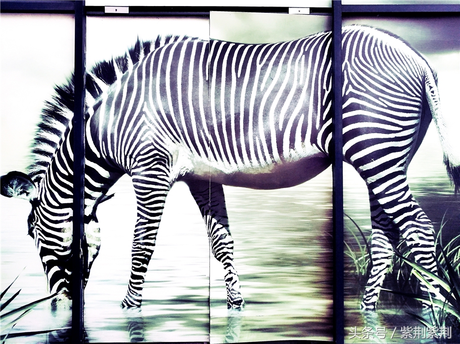 丁香姑娘的油纸伞,黄山黎阳in巷客栈