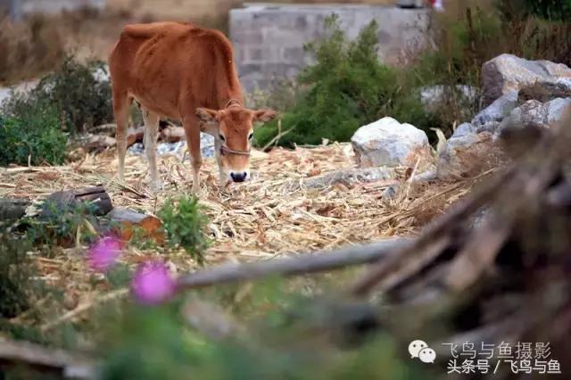 最好的旅游就是陪伴,一场美好的旅行是爱的陪伴