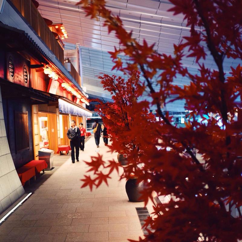 吃遍日本寿司,吃遍日本美食视频