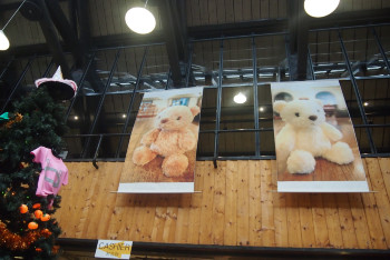 初秋日本快步东京，慢行北海道，泡汤美食8日