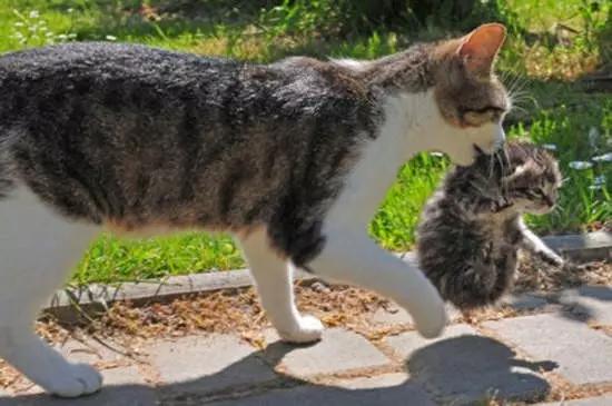 日本快递快不快,日本快递快吗