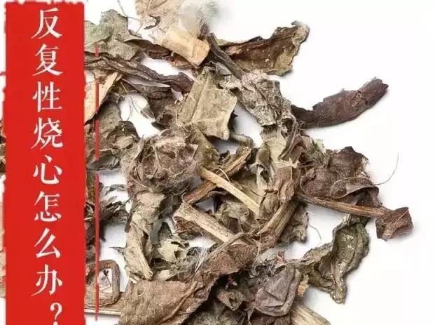 一号难求北京一位超厉害的医生,一号难求北京中医