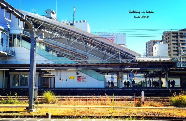 霓虹国秋日暴走之旅,漫步日本旅行游记