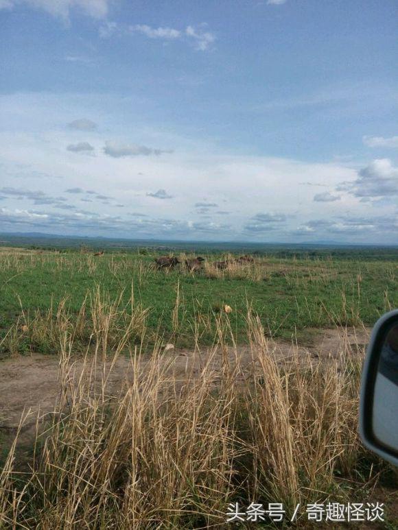 我在非洲工作的日子，给大家介绍下非洲的风土人情