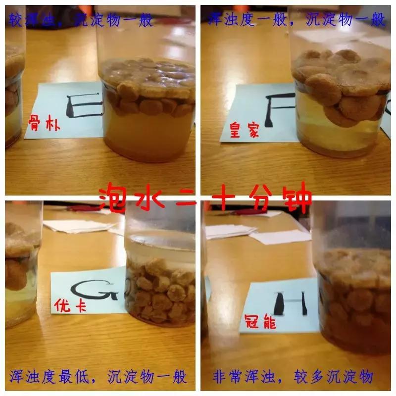 你真的知道该如何选择狗粮吗,如何选择合适的狗粮